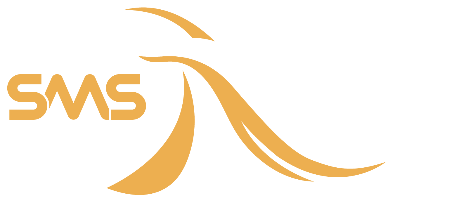 SMS Group Logo